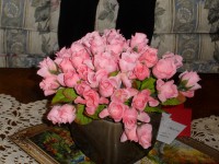 /album/capri-salon-herndon/sam-0496-jpg/